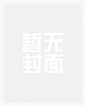 精液收集系统（NP 高H）